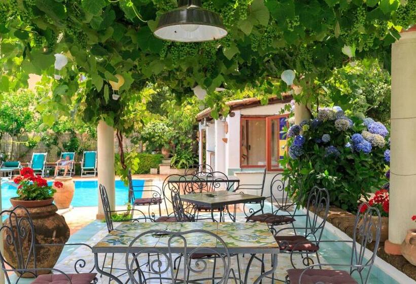 Отель Villa Fernanda