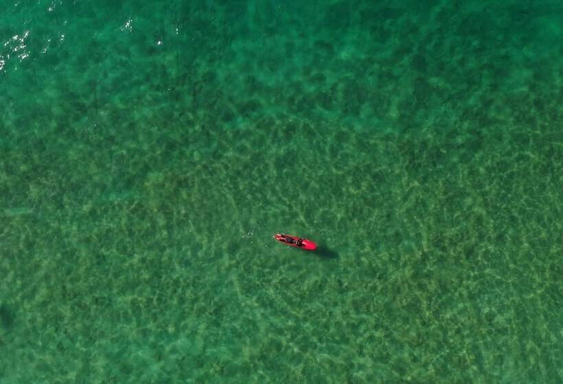 The Yogi Surfer   Hostel