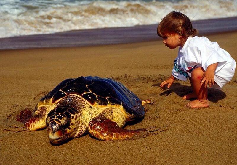 هتل Minta Apartments