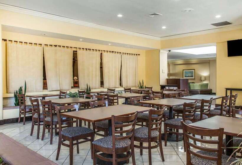 בית מלון כפרי Clarion Inn New London  Mystic