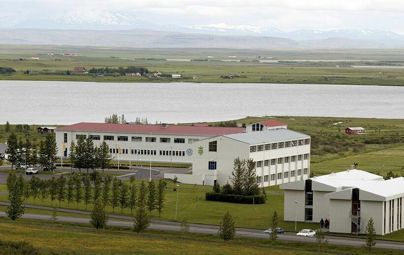 ホテル Edda ML Laugarvatn