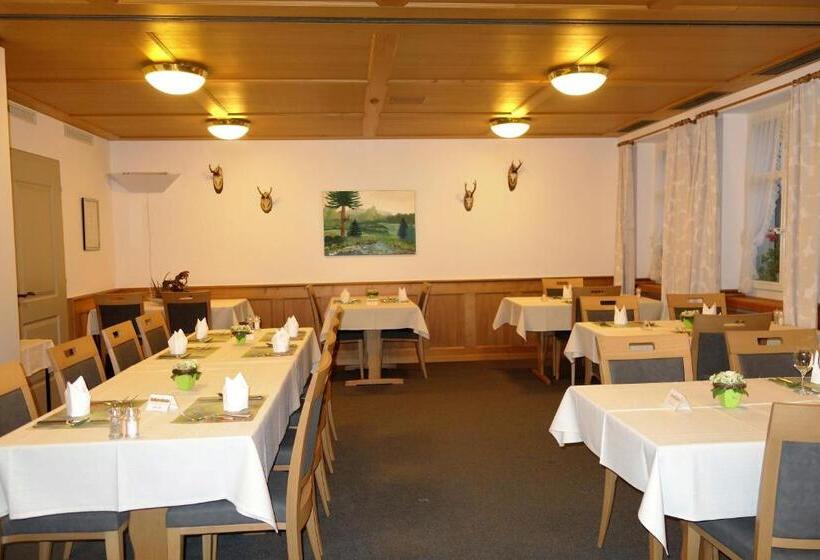 酒店 Gasthof Löwen