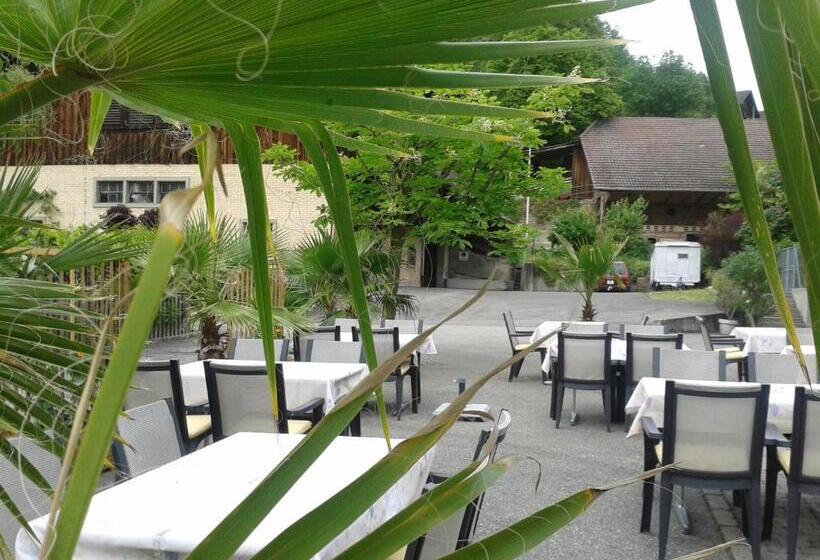 酒店 Gasthof Löwen