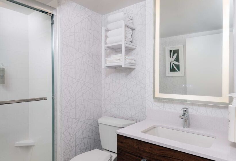 هتل Hampton Inn Savannah Historic District