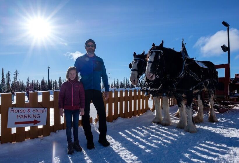 فندق White Crystal Inn