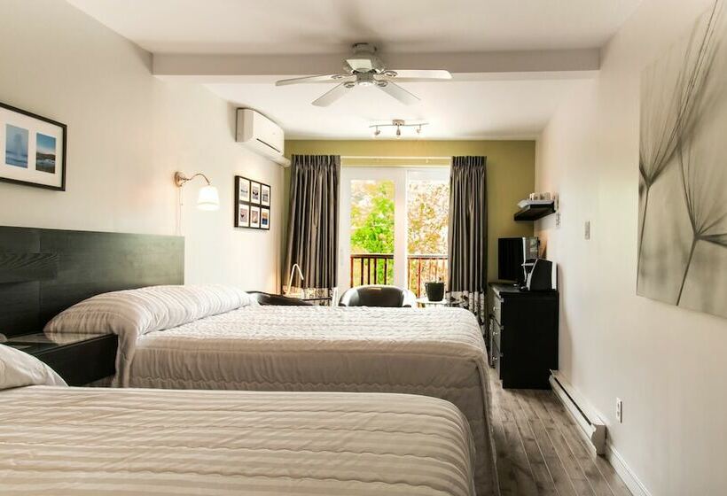 Motel Le Beluga