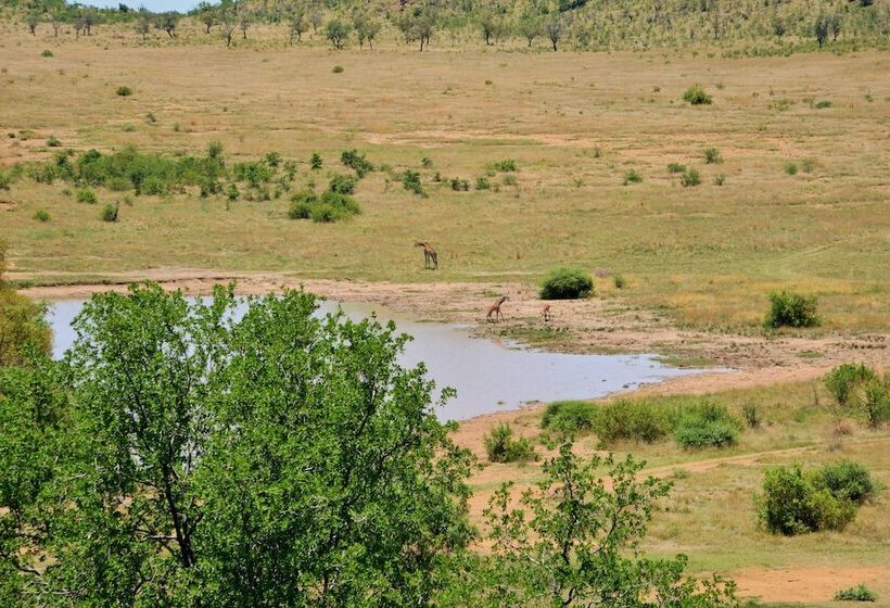 فندق Tshukudu Bush Lodge