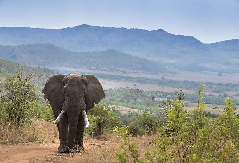 فندق Tshukudu Bush Lodge