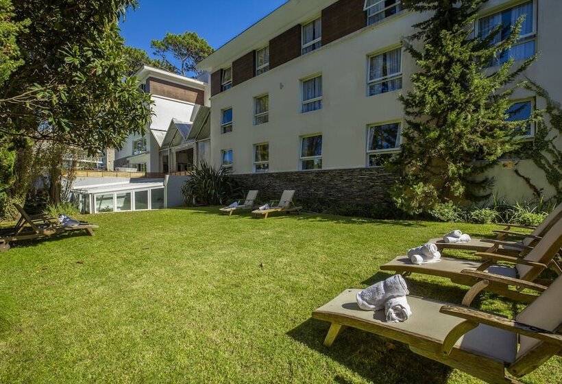 فندق Awa Boutique + Design