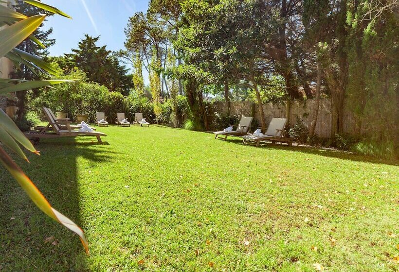 فندق Awa Boutique + Design