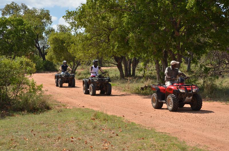 Отель Mabula Game Lodge