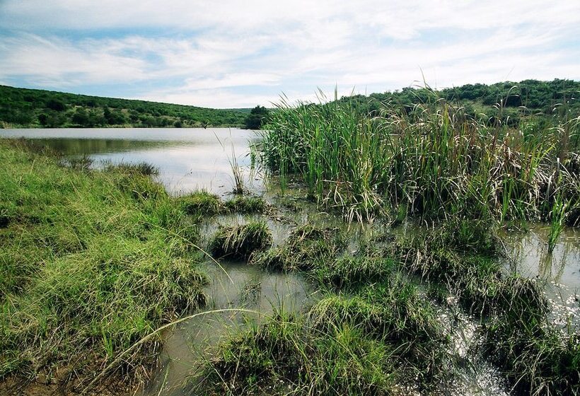 בית מלון כפרי Premier Resort Mpongo Private Game Reserve