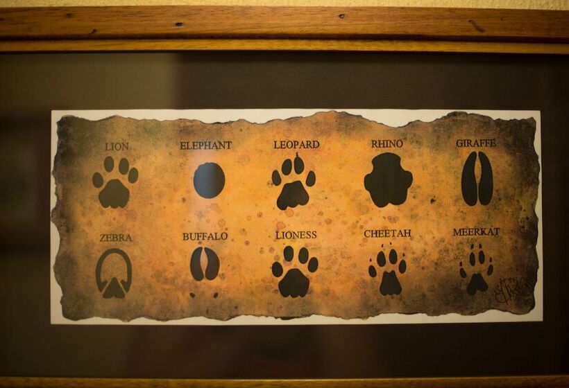 בית מלון כפרי Premier Resort Mpongo Private Game Reserve