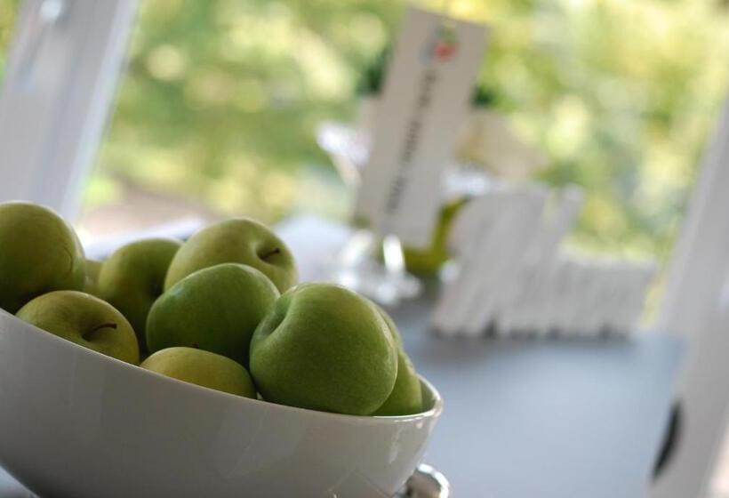 Szálloda Aurora Duino