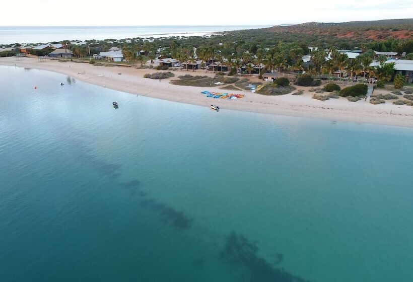 Hotel Rac Monkey Mia Dolphin Resort