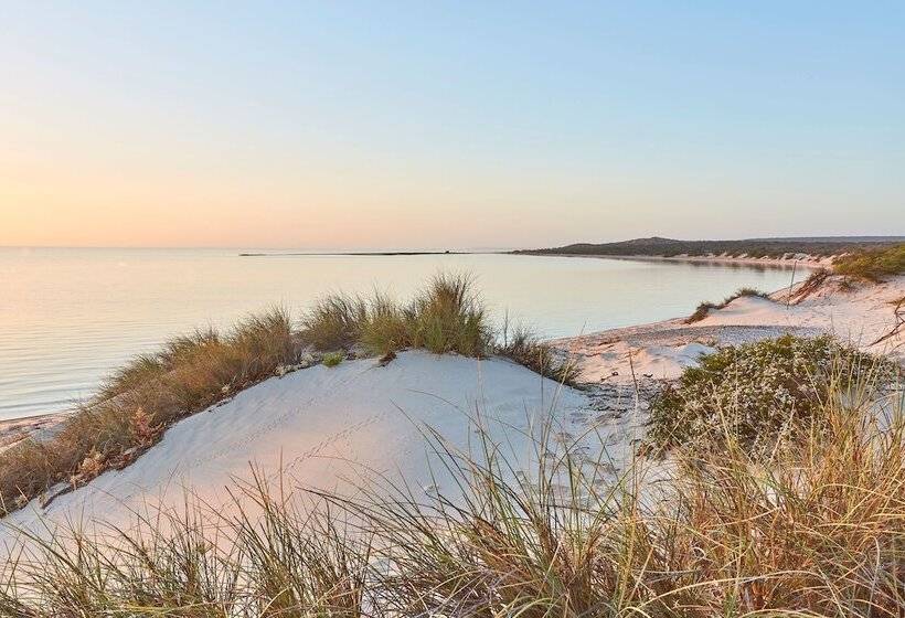 Hotel Rac Monkey Mia Dolphin Resort