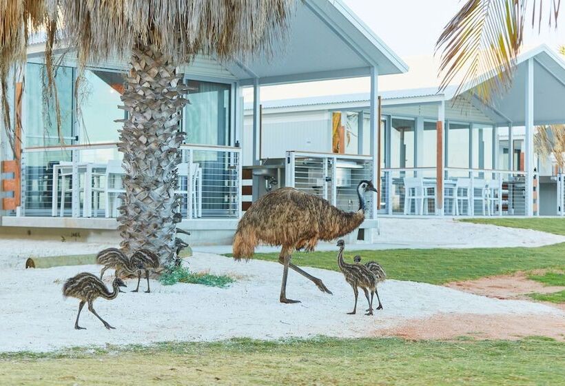 Hotel Rac Monkey Mia Dolphin Resort