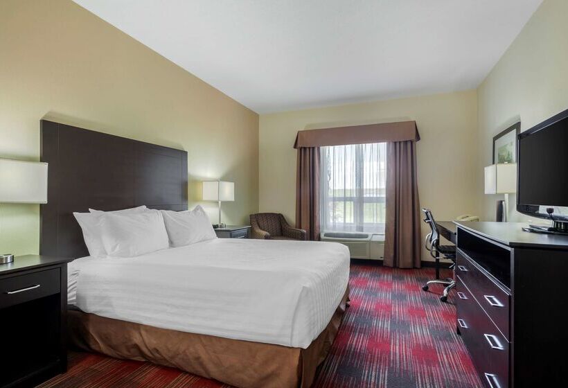 هتل Best Western Plus Red Deer Inn & Suite