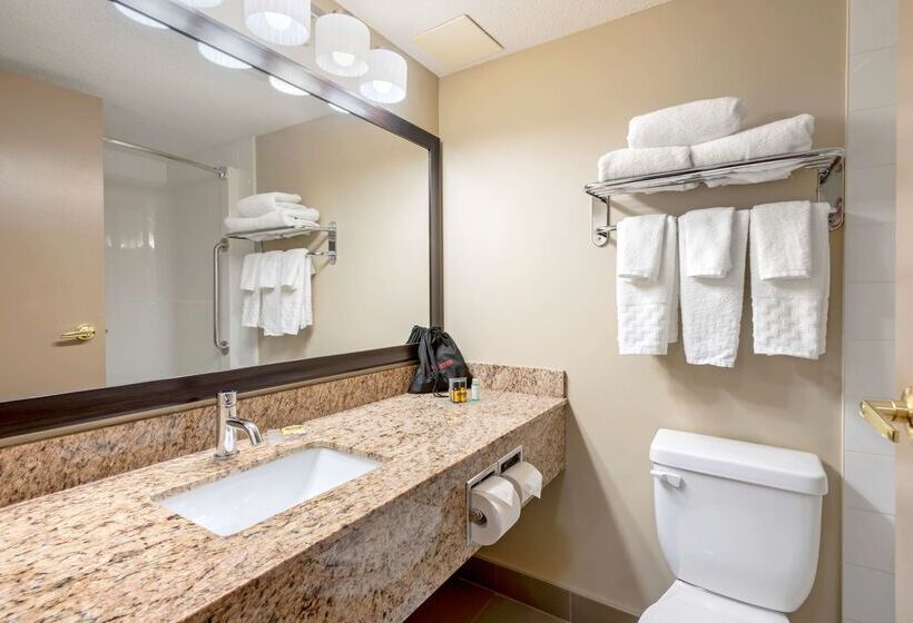هتل Best Western Plus Red Deer Inn & Suite