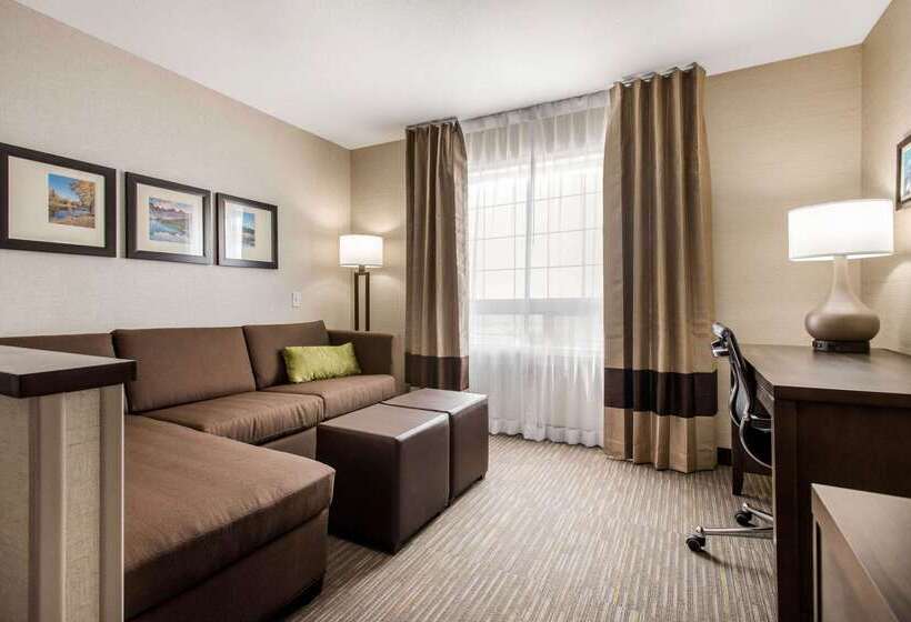 هتل Comfort Inn & Suites