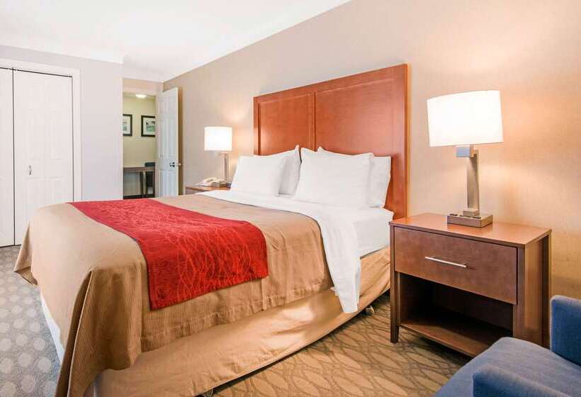 هتل Comfort Inn Fallsview