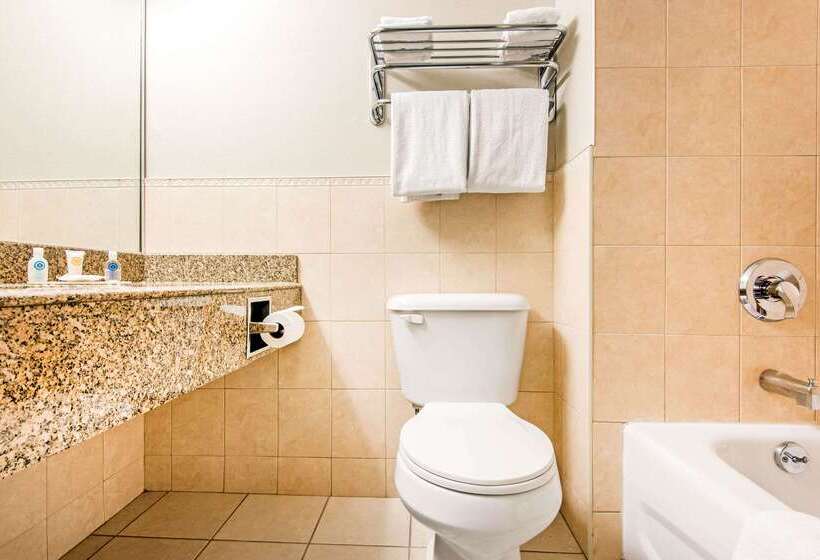 هتل Comfort Inn Fallsview