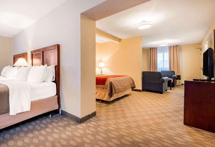 هتل Comfort Inn Fallsview