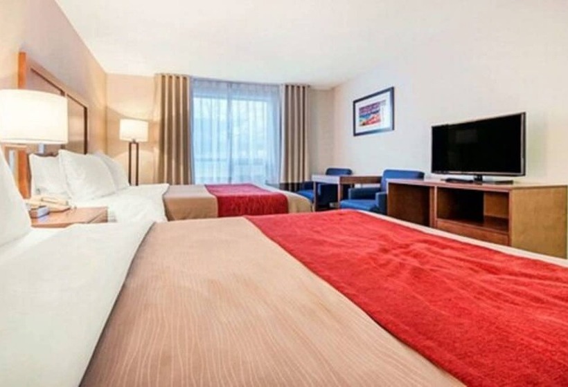 هتل Comfort Inn Fallsview