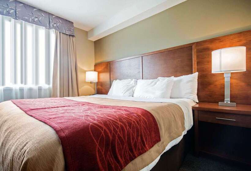 酒店 Comfort Inn & Suites