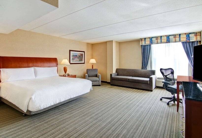فندق Hilton Garden Inn Toronto/burlington