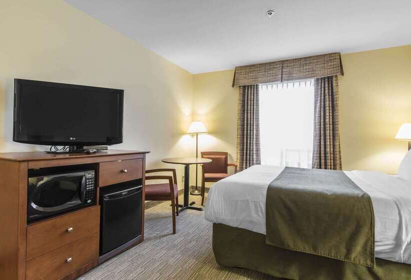 هتل Quality Inn Airport
