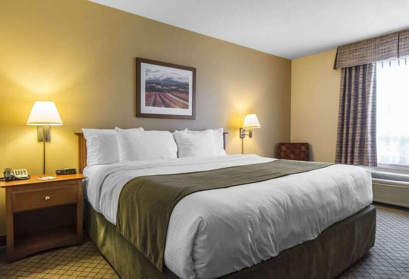 هتل Quality Inn Airport