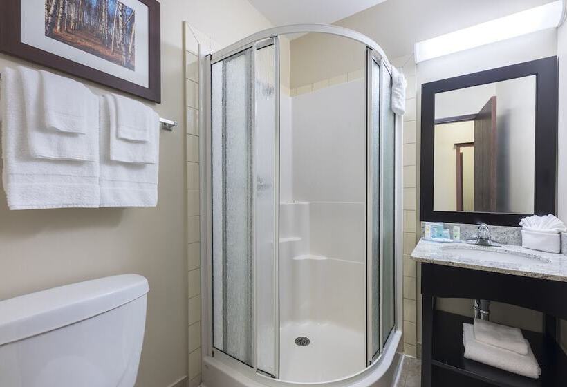 هتل Quality Inn Airport
