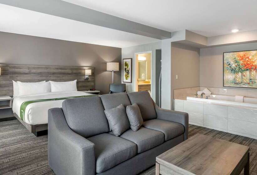 هتل Quality Inn & Suites Amsterdam