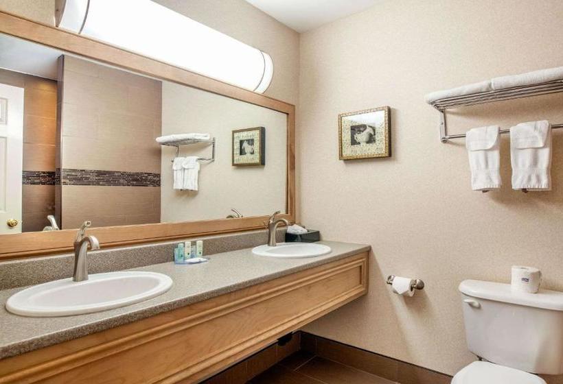 فندق Quality Inn & Suites