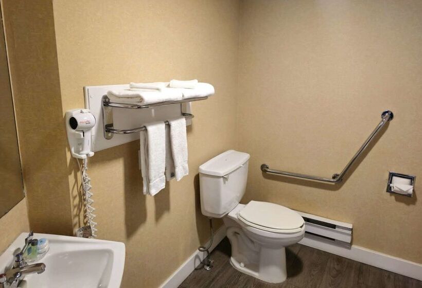 هتل Rodeway Inn & Suites