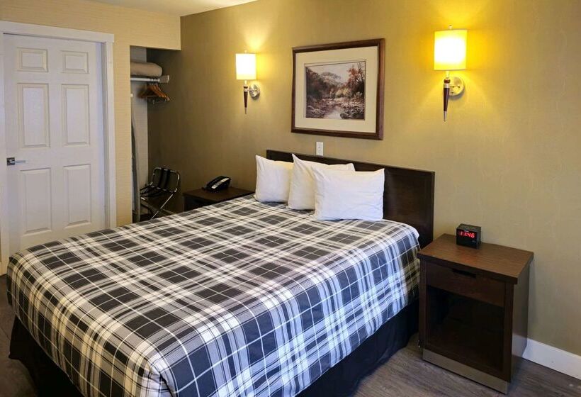 هتل Rodeway Inn & Suites