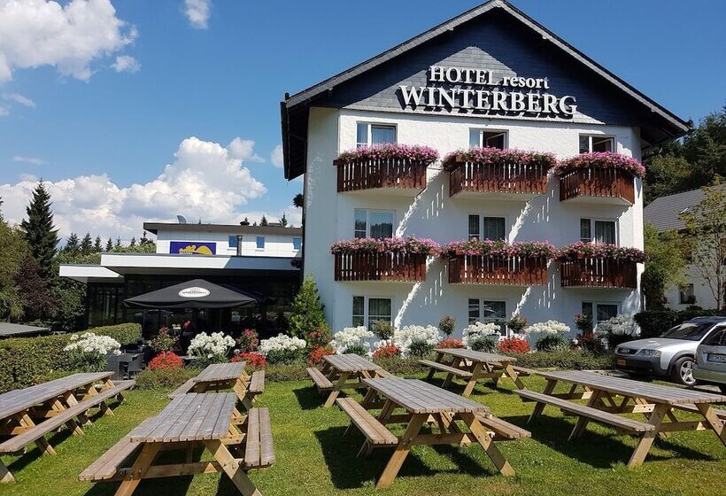 فندق Winterberg Resort