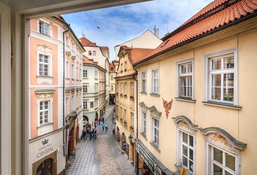 فندق The Dominican