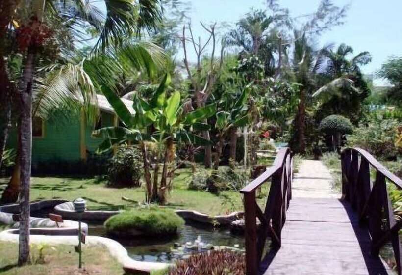 Plaza Real Resort