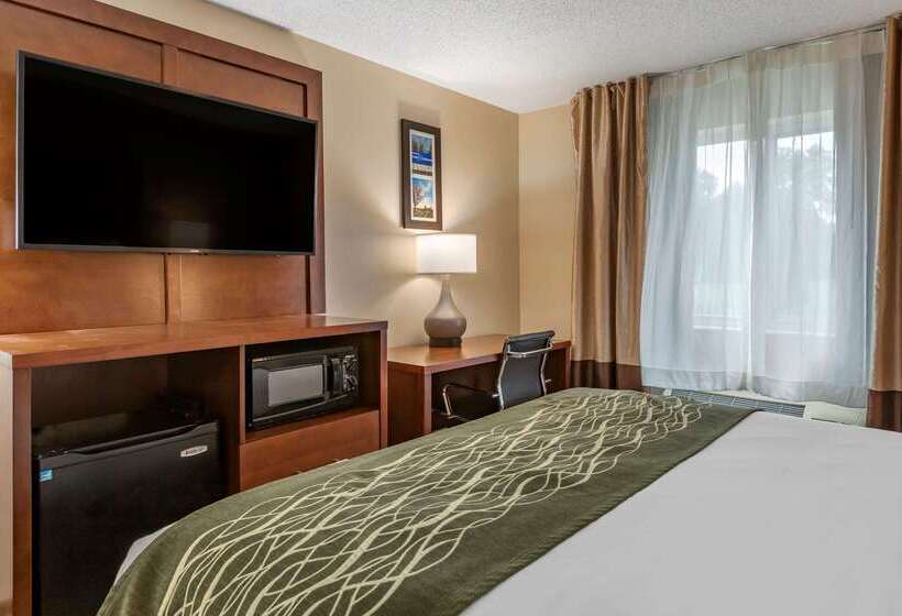 בית מלון כפרי Comfort Inn & Suites Dimondale   Lansing
