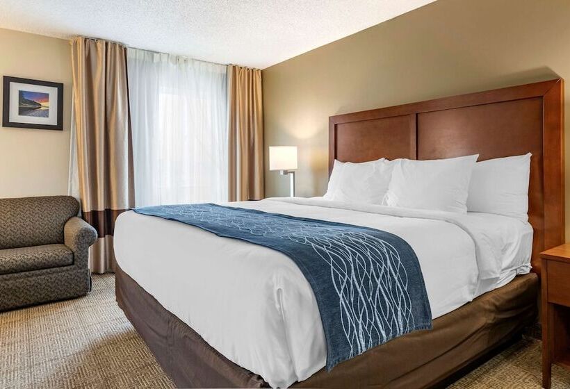 בית מלון כפרי Comfort Inn & Suites Dimondale   Lansing