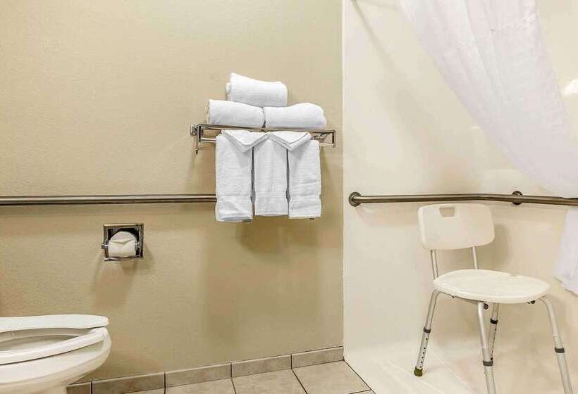 هتل Comfort Inn & Suites East Moline Near I 80