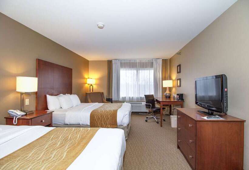 هتل Comfort Inn & Suites East Moline Near I 80