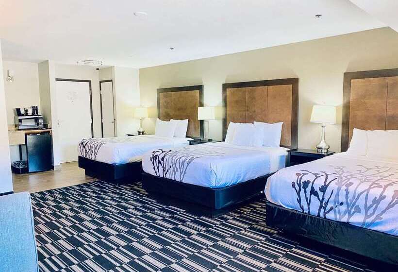 هتل La Quinta Inn By Wyndham Steamboat Springs