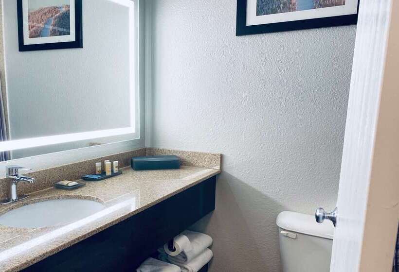 هتل La Quinta Inn By Wyndham Steamboat Springs