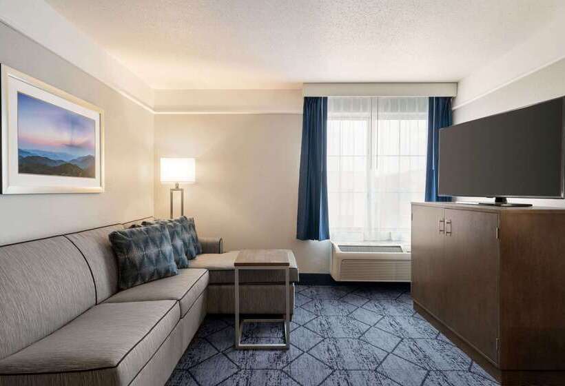 هتل La Quinta Inn And Suites By Wyndham At Watiki Waterpark
