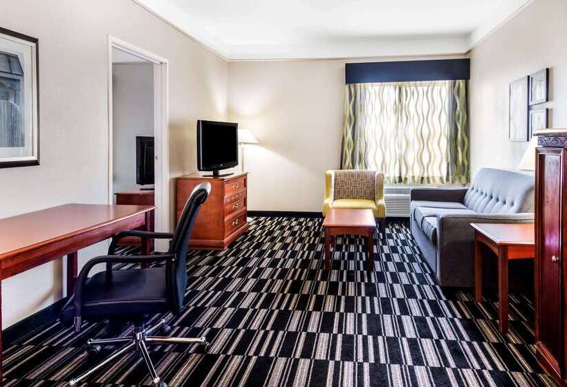 هتل La Quinta By Wyndham Roswell