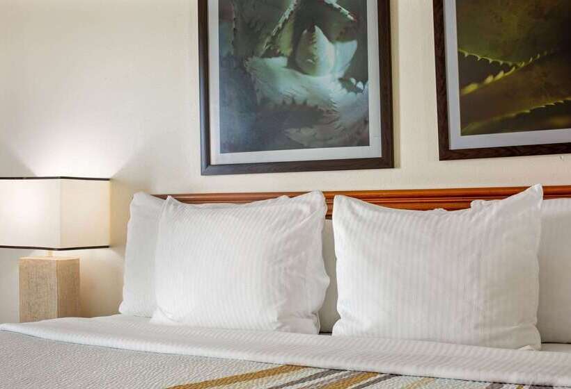 Отель La Quinta Inn & Suites By Wyndham Sawgrass