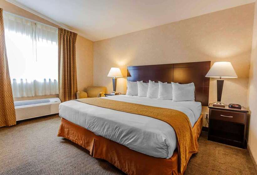 هتل Quality Inn Near Seattle Premium Outlets